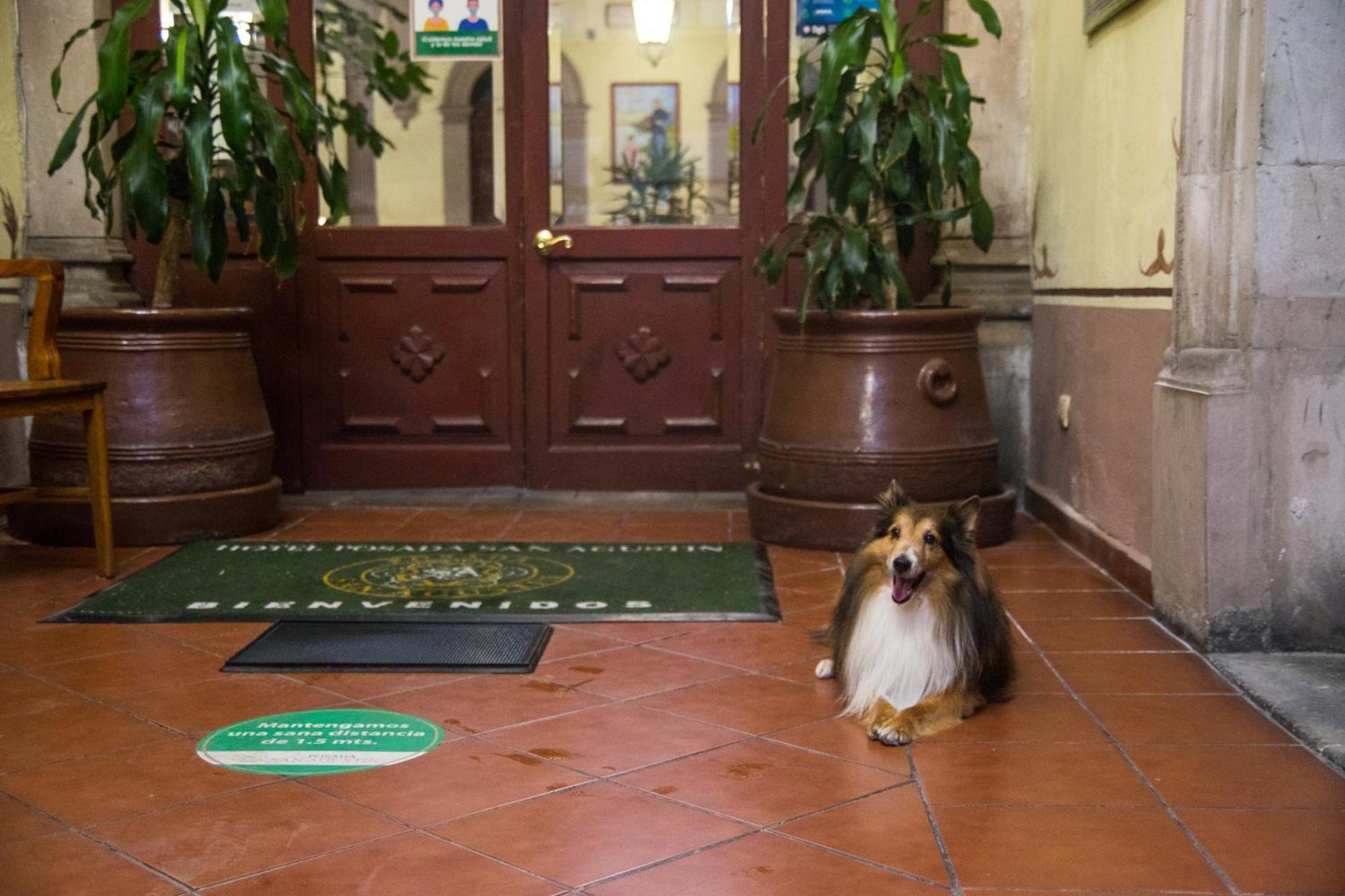 Hotel Posada San Agustin Durango Eksteriør bilde